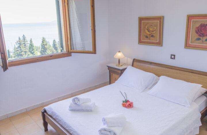 Standard Double rooms (Sea view, Garden view, Economy)
